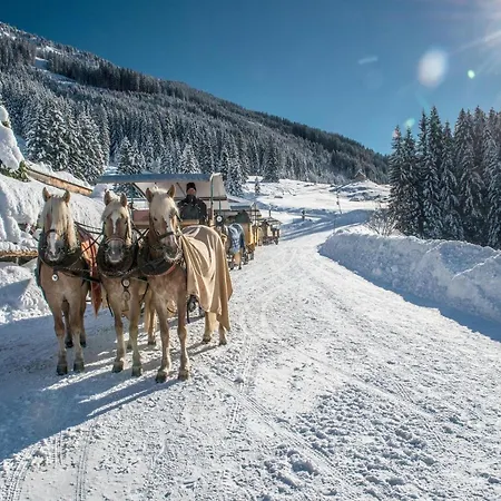 In Kitzbuehel Alps Near Hiking Trails, Cleaning Included Semesterbostad